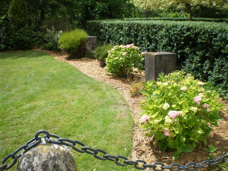 Le BRF évite la repousse de mauvaises herbes